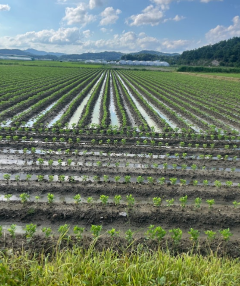 샘물영농조합법인