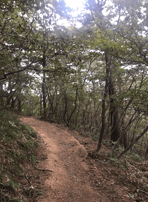 죽령11