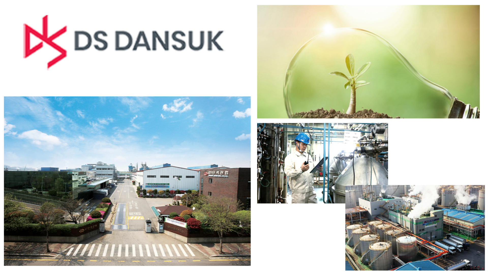 디에스단석 공모주 회사 소개