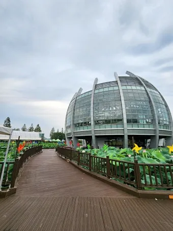 무안 가볼만한곳 베스트10 현지인 추천 필수코스_24