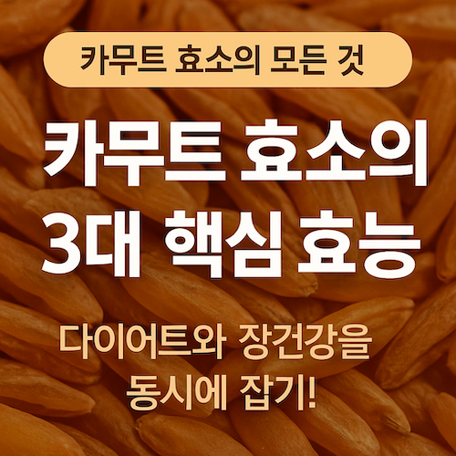 카무트효소다이어트효과장건강효능