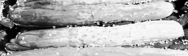 물없이 오이지 50개 담그는법