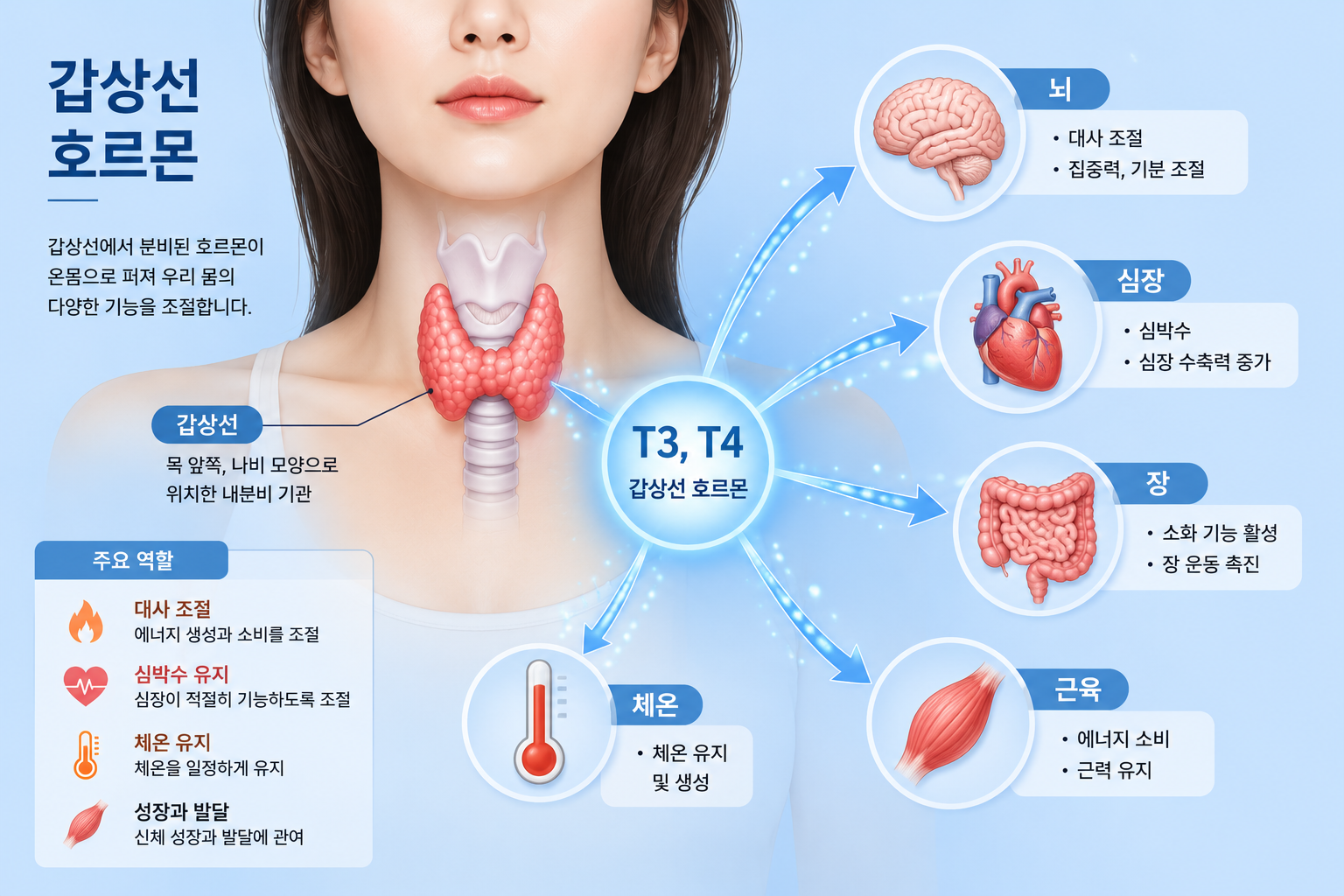 갑자기 심장이 빨리 뛰고 살이 빠진다면,갑상선 기능 항진증 초기 증상일 수 있습니다