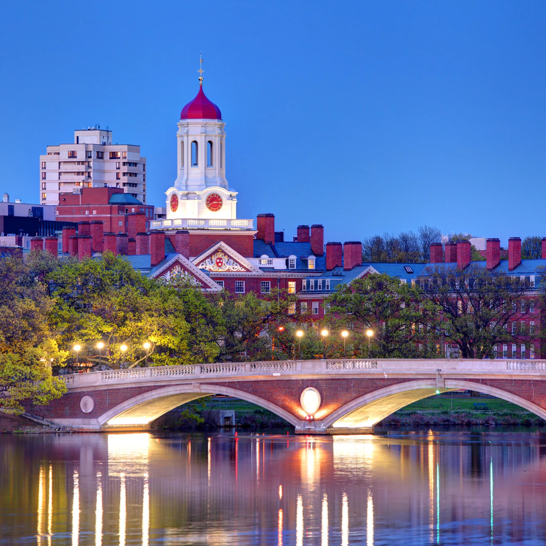 2024년 세계 대학 순위 100