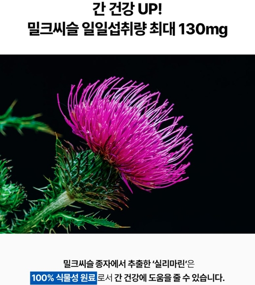 파란통 다이어트 밀크시슬 효과