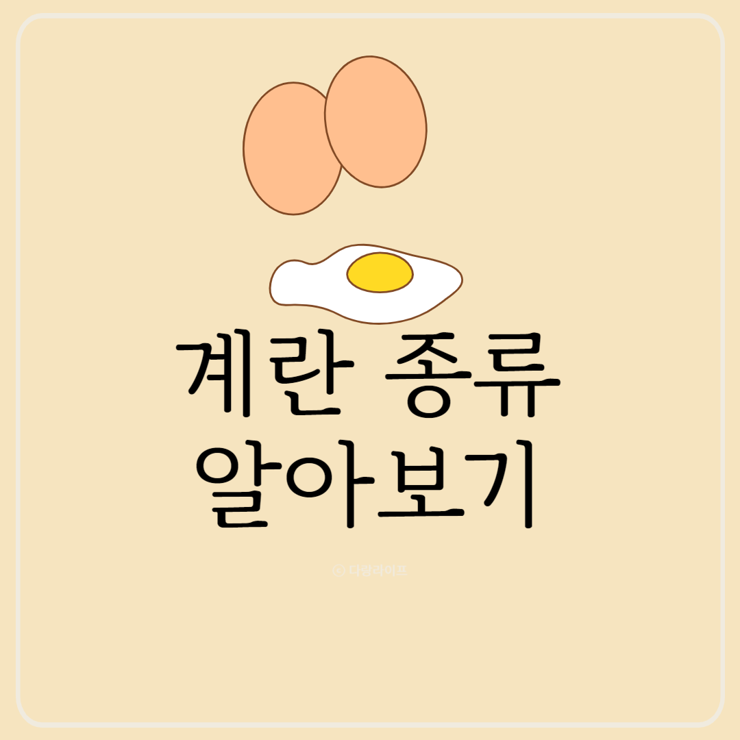 계란종류 동물복지란 무정란 유정란 특란