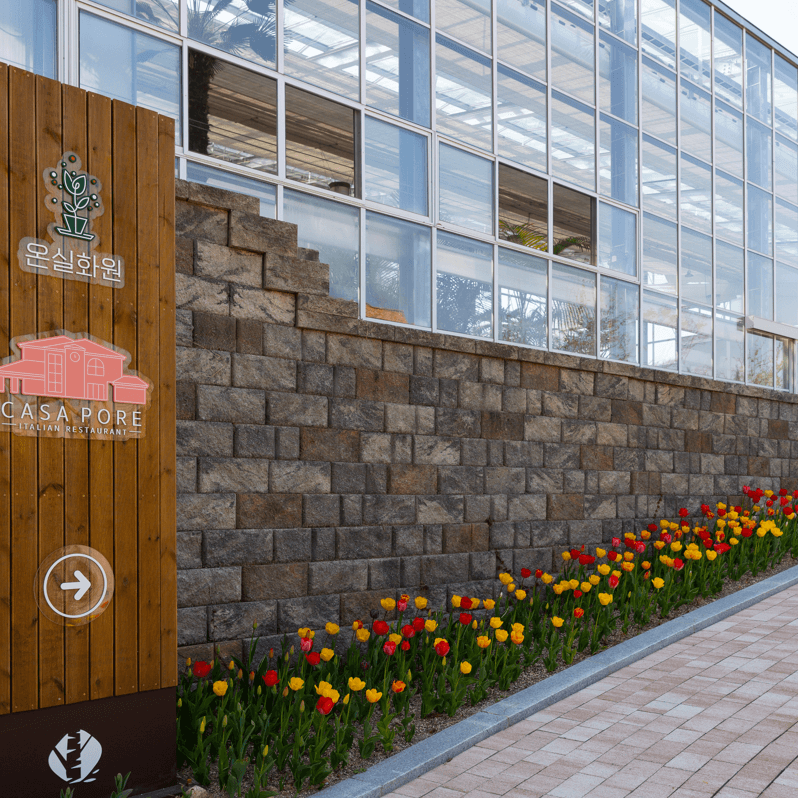 용인 자작나무숲 봄꽃축제