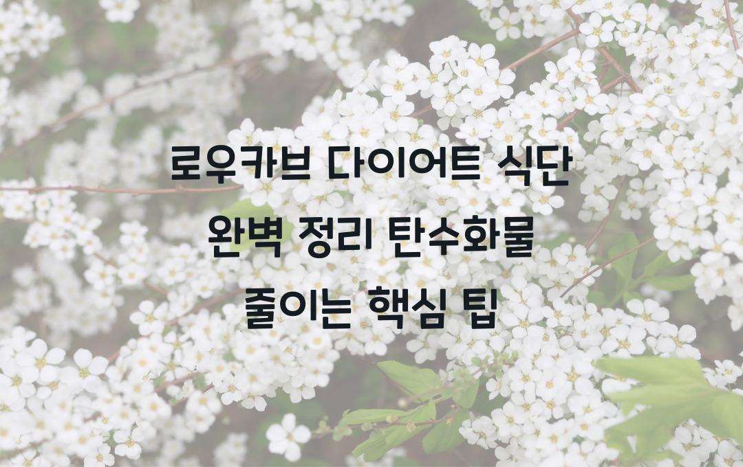 로우카브 다이어트 식단 완벽 정리! 탄수화물 줄이는 법