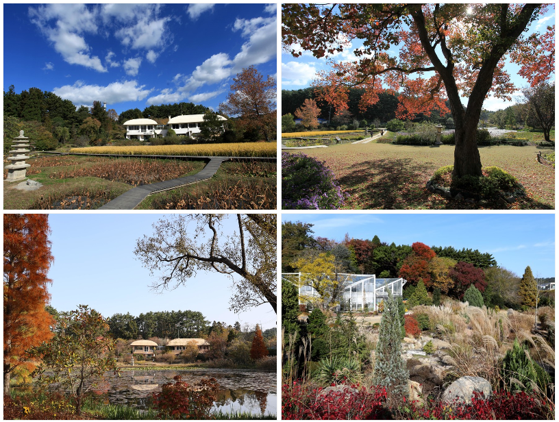 천리포수목원-가을풍경