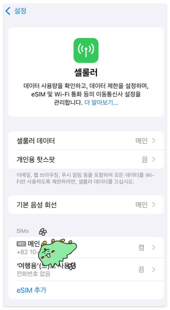 esim-해외-로밍