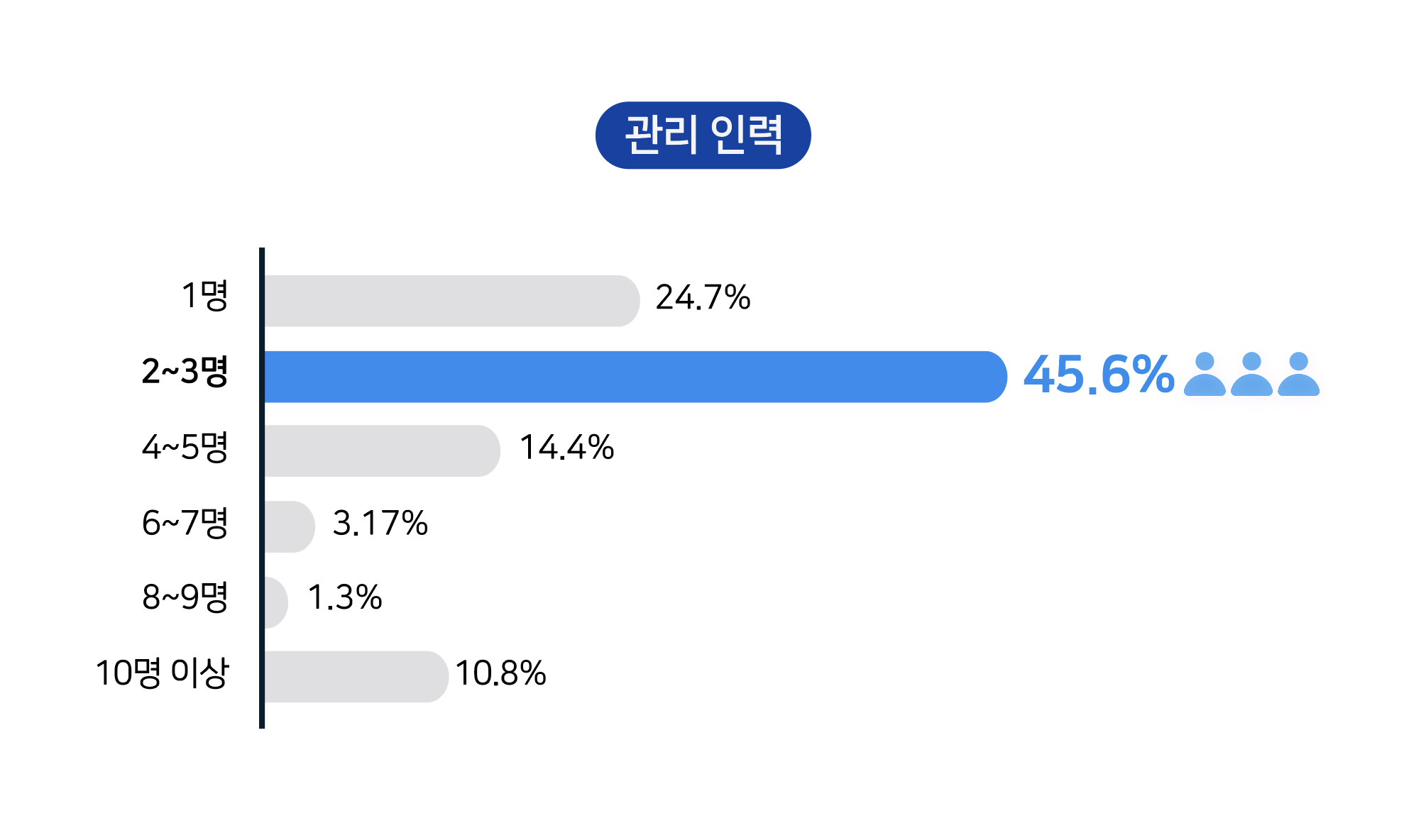 IT 솔루션 관리 인력