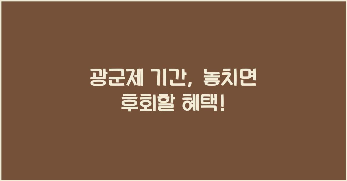 광군제 기간