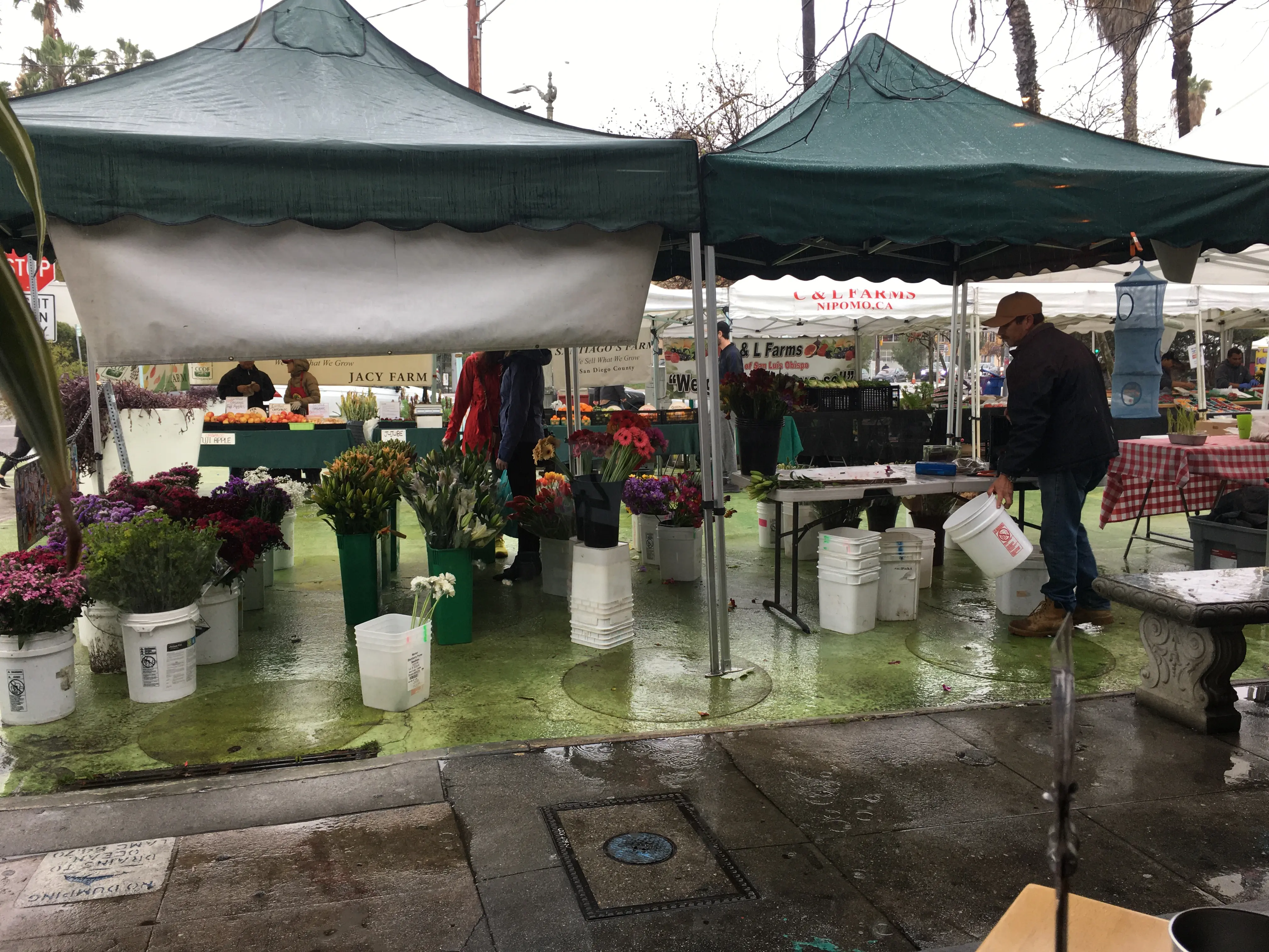 파인 앤 크레인(Pine &amp; Crane) 주변 파머스마켓(Farmers Market)