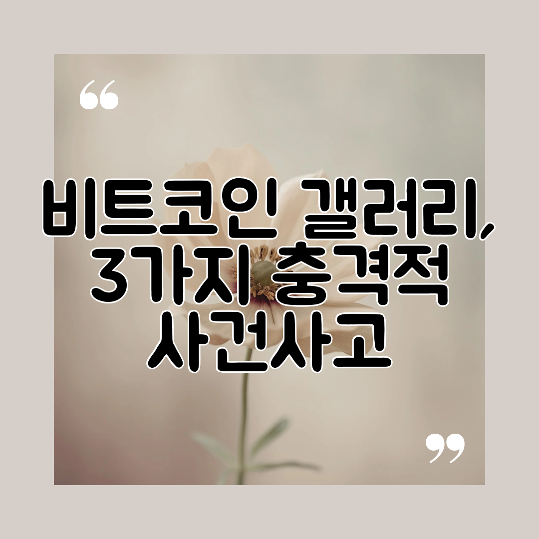 비트코인 갤러리, 3가지 충격적 사건사고