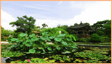 고양 국제꽃박람회