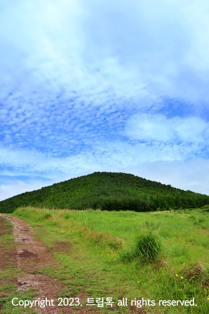 가운에 세모난 모습의 초록 오름과 왼쪽에 흙길이 있다