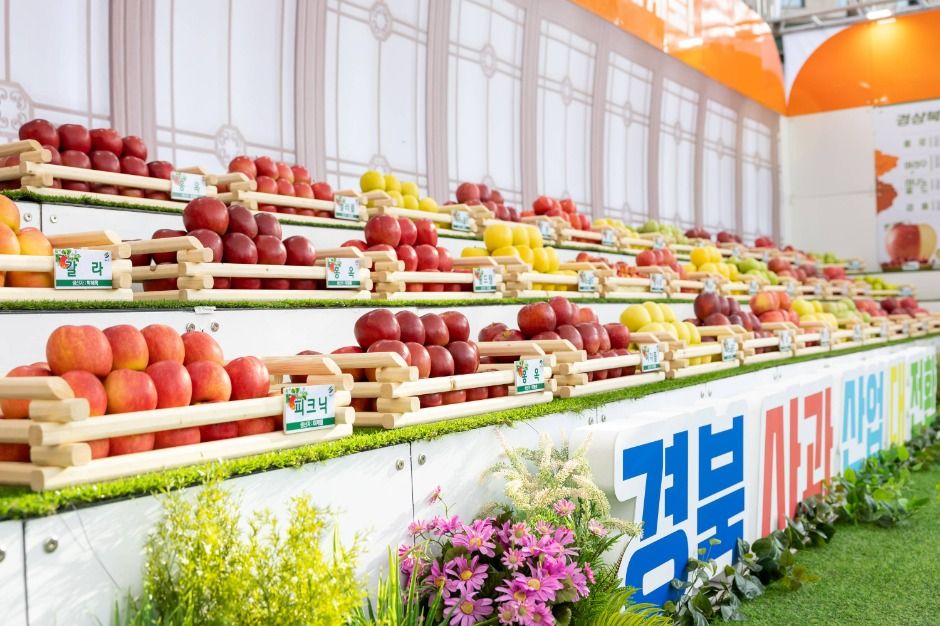 경북사과홍보행사