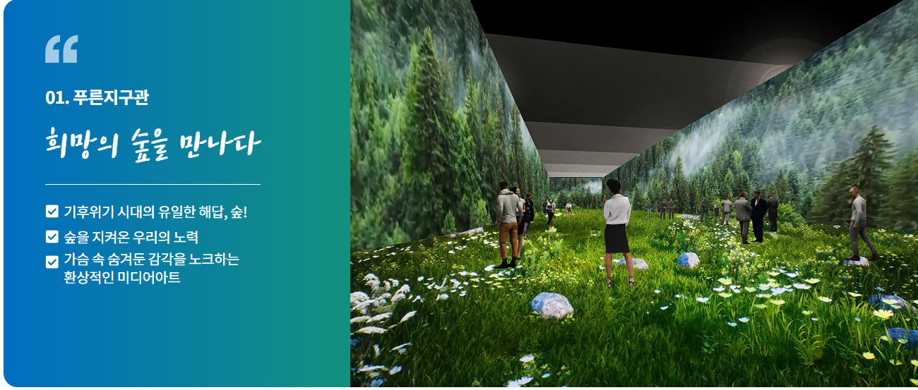 강원세계산림엑스포 축제 프로그램들