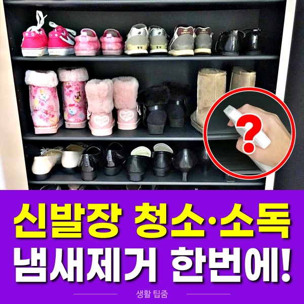 신발장 청소 소독 냄새제거