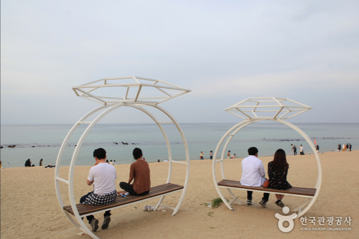 전국 해수욕장 개장일