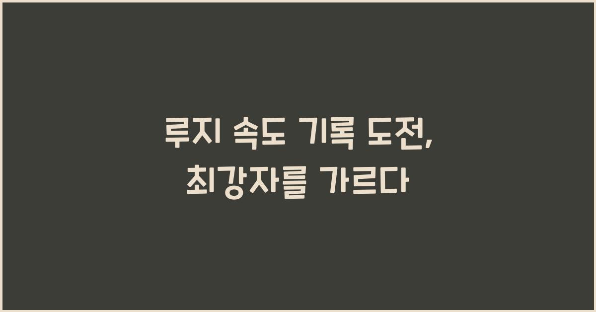 루지 속도 기록 도전