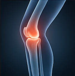 콘드로이친1200mg