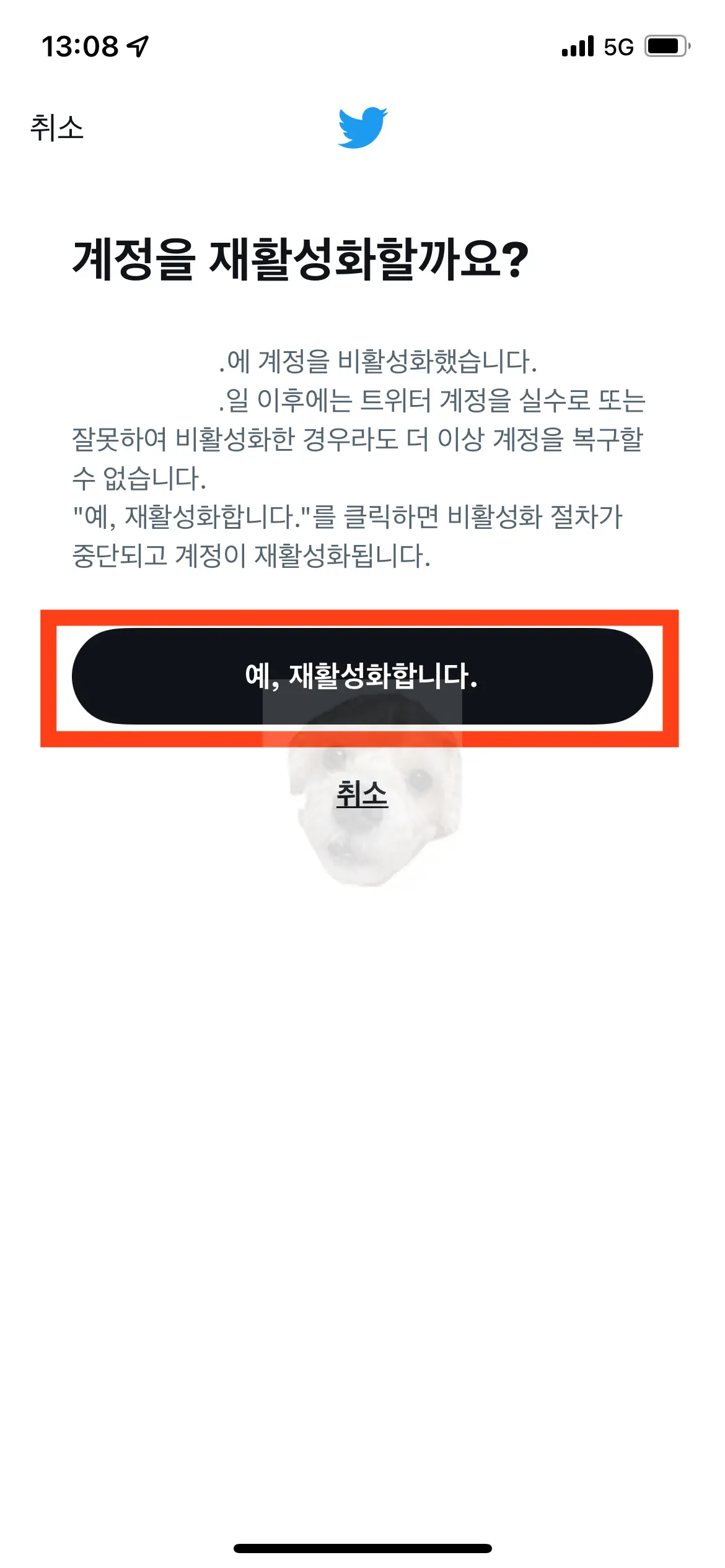 트위터 계정 재활성화 완료하기