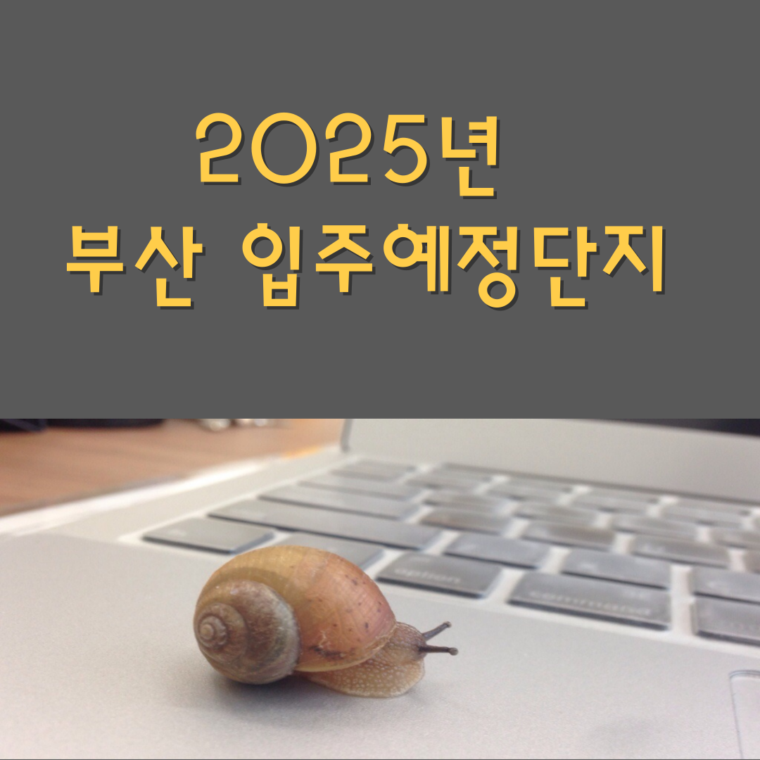 2025년 부산 입주예정 단지