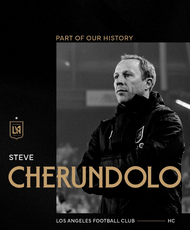Steve Cherundolo