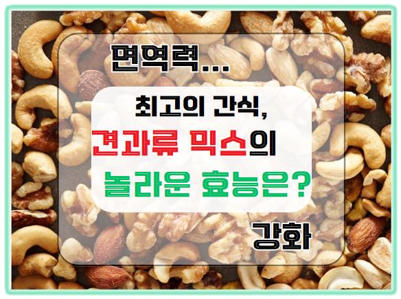 면역력을 강화하는 최고의 간식, 견과류 믹스의 놀라운 효능은?