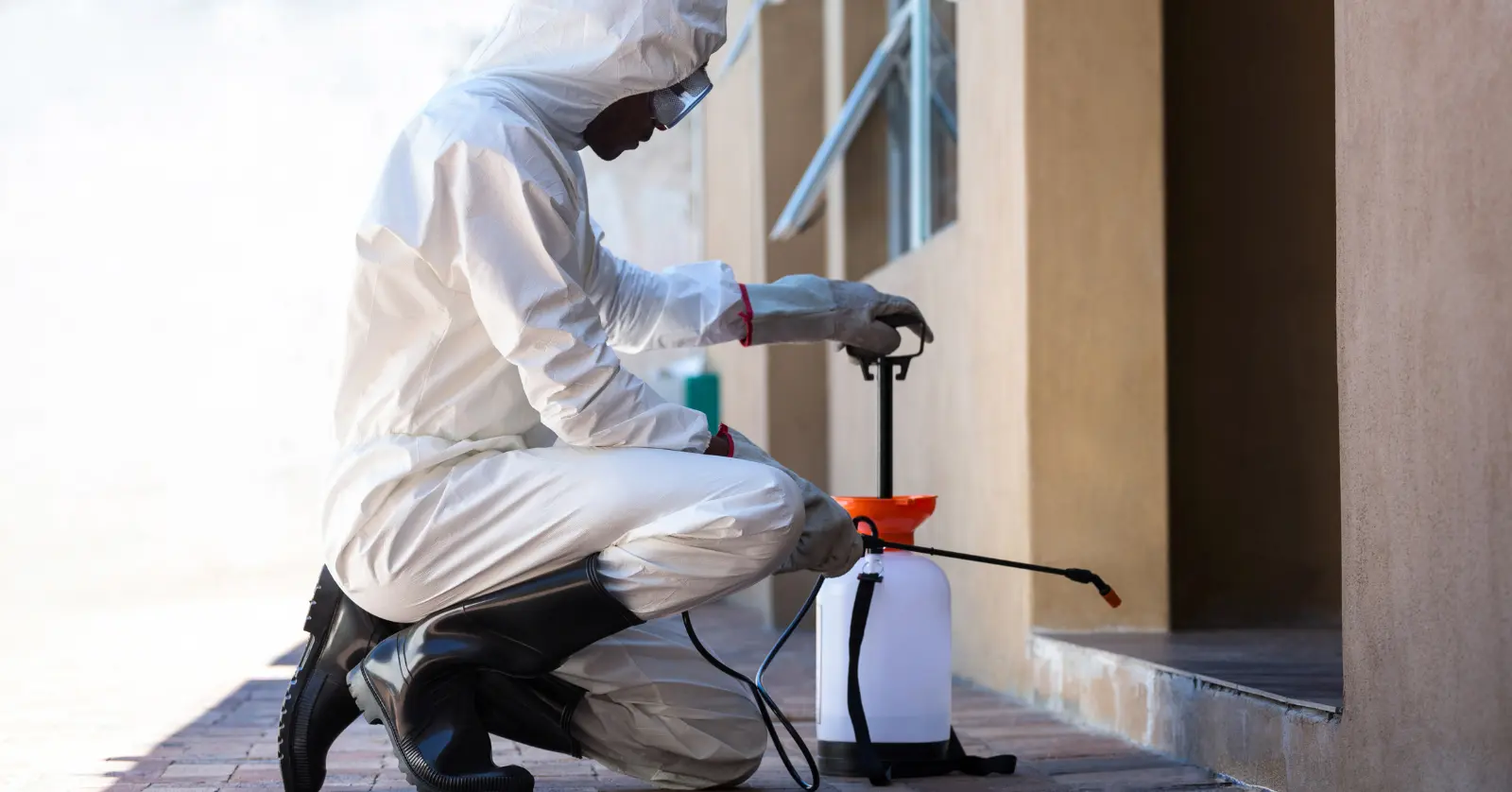 세스코 방역 서비스 후기 요약