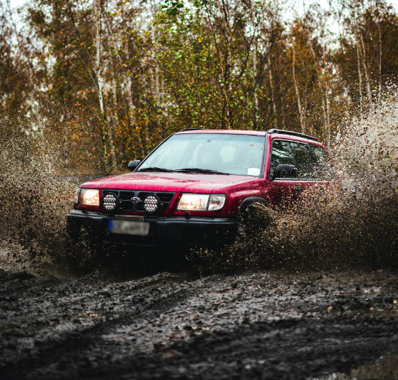 뭍다 vs 묻다 맞춤법 차이에 대해