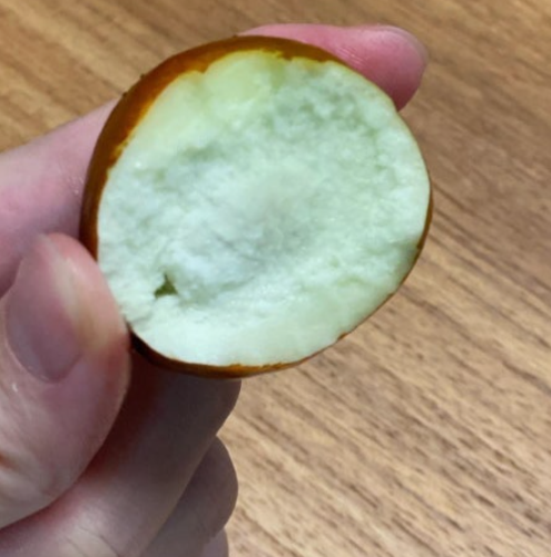 한입먹은사과대추