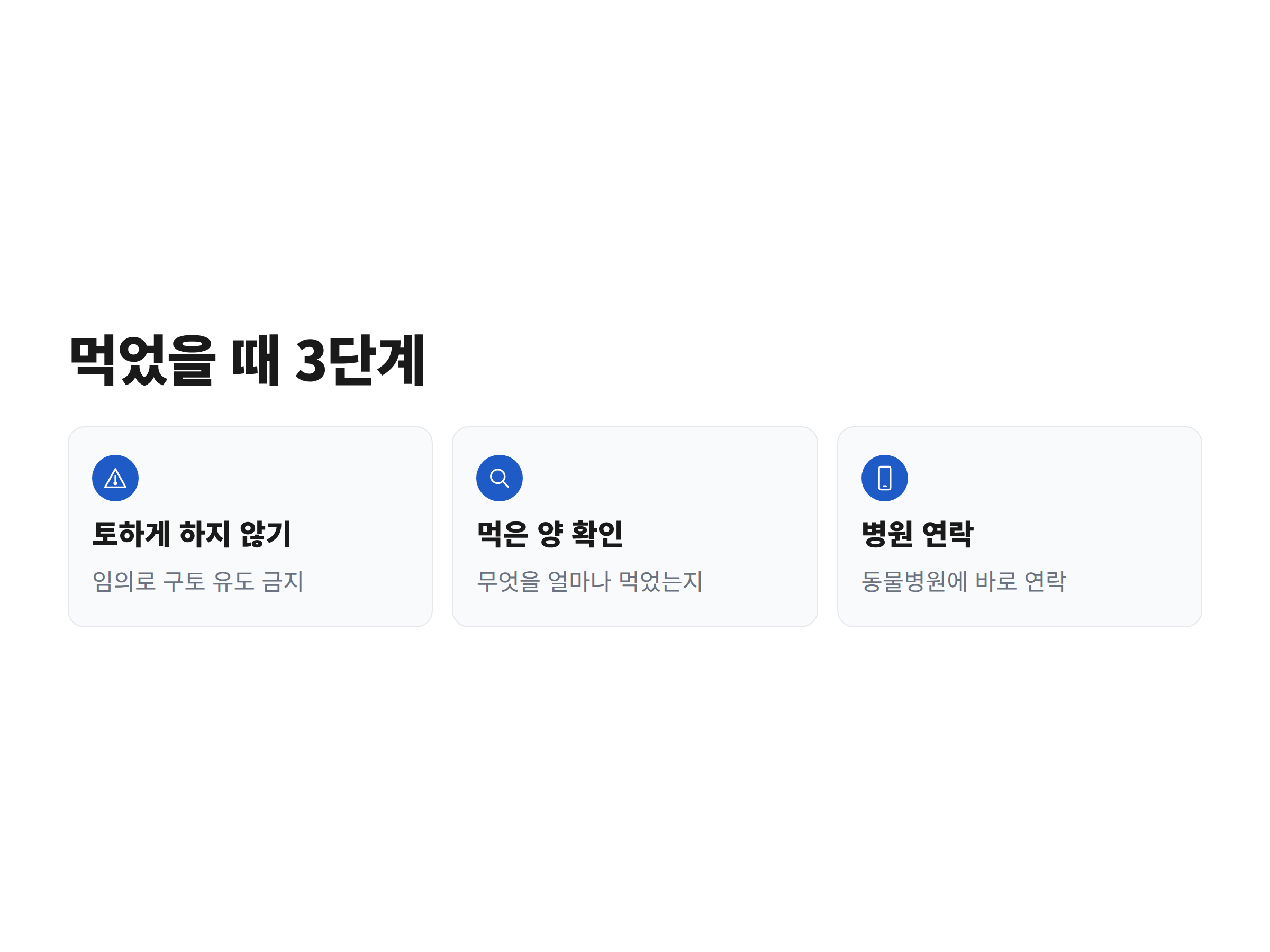 반려동물이 국화를 먹었을 때 보호자가 따를 대처 3단계