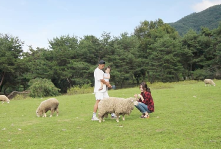 해피초원목장