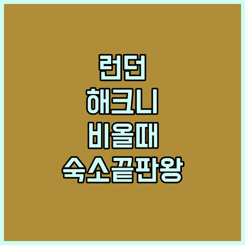 비 오는 날 런던 해크니 실내 여행 ..