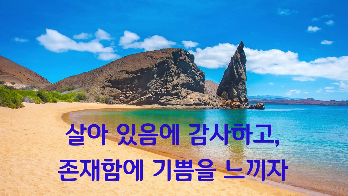 실버세대를 위한 위로 문구, '살아 있음에 감사하고, 존재함에 기쁨을 느끼자'가 적힌 아름다운 바닷가 풍경 이미지"