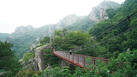 대둔산 등산코스 상세 등산지도와 안전한 산행 팁 2025_8