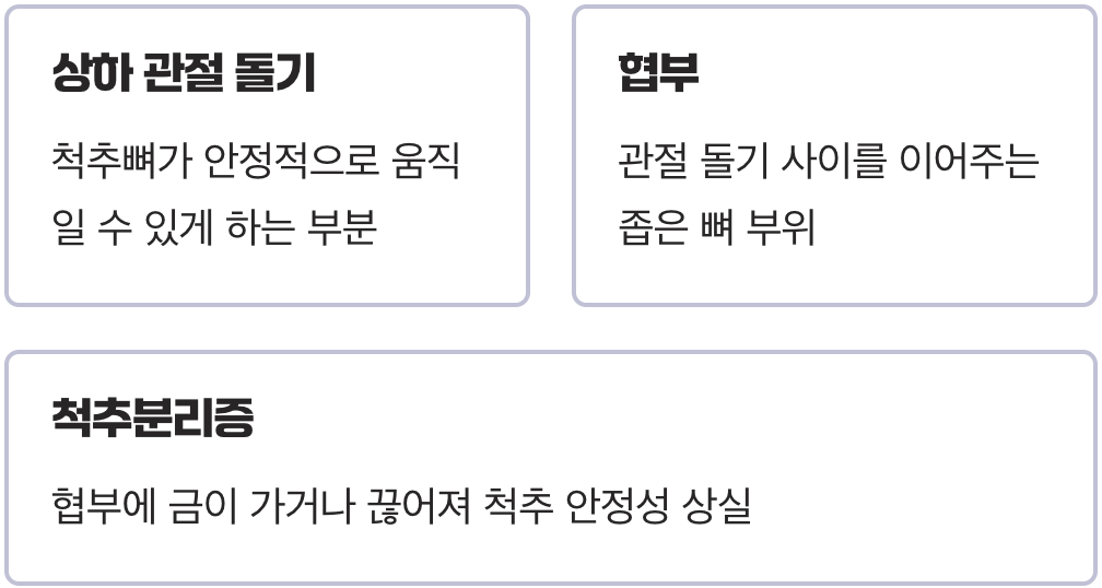 척추의 '연결 고리'가 끊어졌다?