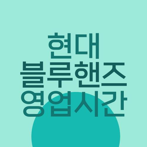 현대 블루핸즈 영업시간