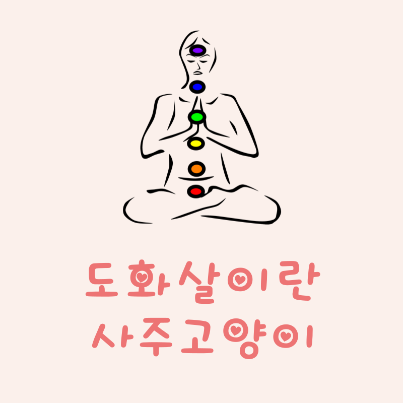 도화살이란