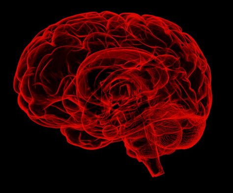 뇌 자극(TMS, tDCS) 기술의 가능성과 한계