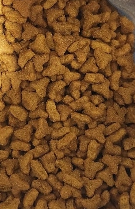 로얄캐닌의 '캣 가스트로인테스티널 화이버 리스폰스'