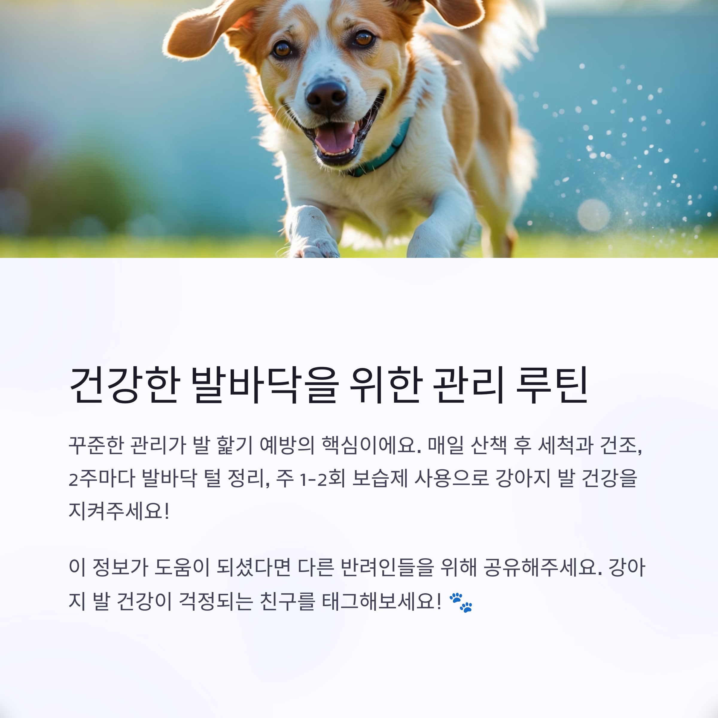 발