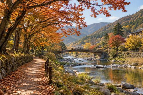 보은 대추축제 가을 보청천 산책을 떠올리는 물가 길