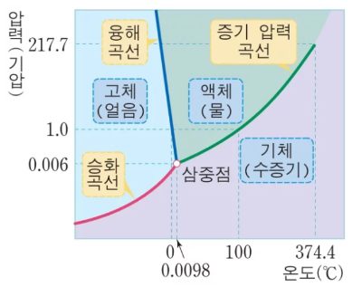 삼중선도