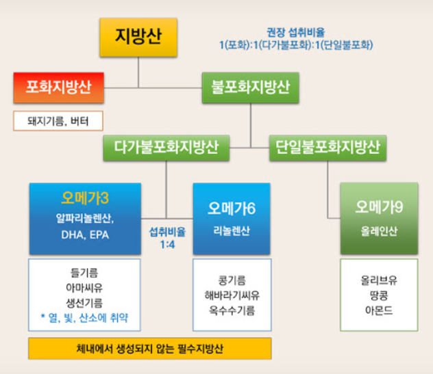 오메가 3,6,9 구분도