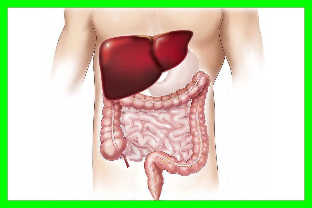간암_초기증상_간암말기_생존기간