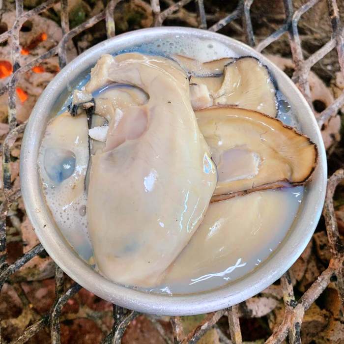 생방송오늘저녁 섬진강 하동 벚굴 구이 강굴 벚굴찜 벚굴전 벚굴죽 재첩국 재첩회무침 맛집 추천