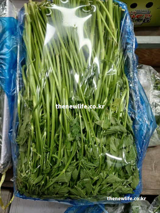미나리 효능 조리법 나물
